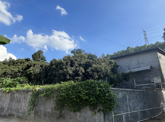 宿舍